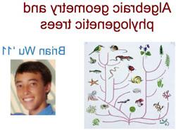 headshot Brian Wu and image of algebraid geometry and phylogenetic trees