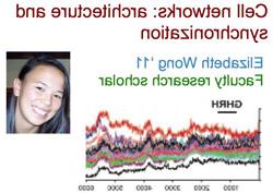 headshot Elizabeth Wong and graph of cell networks