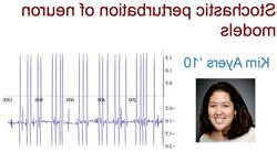 Kim Ayers headshot and stochastic perturbation graph